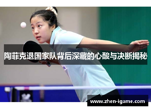 陶菲克退国家队背后深藏的心酸与决断揭秘 陶菲克退国家队背后深藏的心酸与决断揭秘