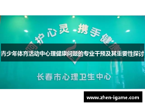 青少年体育活动中心理健康问题的专业干预及其重要性探讨